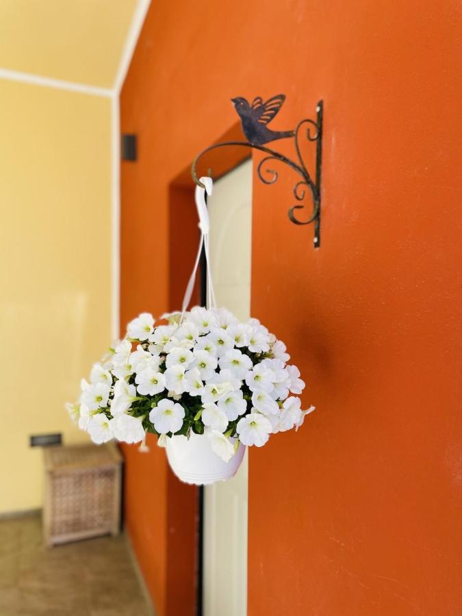 Bed and Breakfast Il Giardino Di Iole Via Giovanni Amendola N36 Sassari Exterior foto